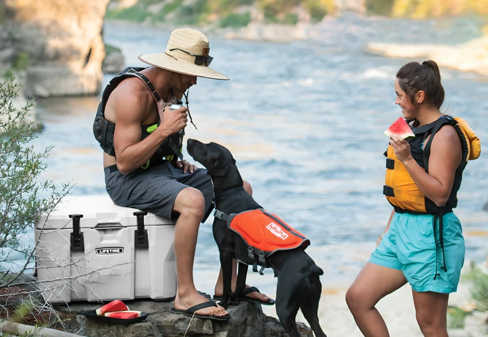 portable ice chest cooler