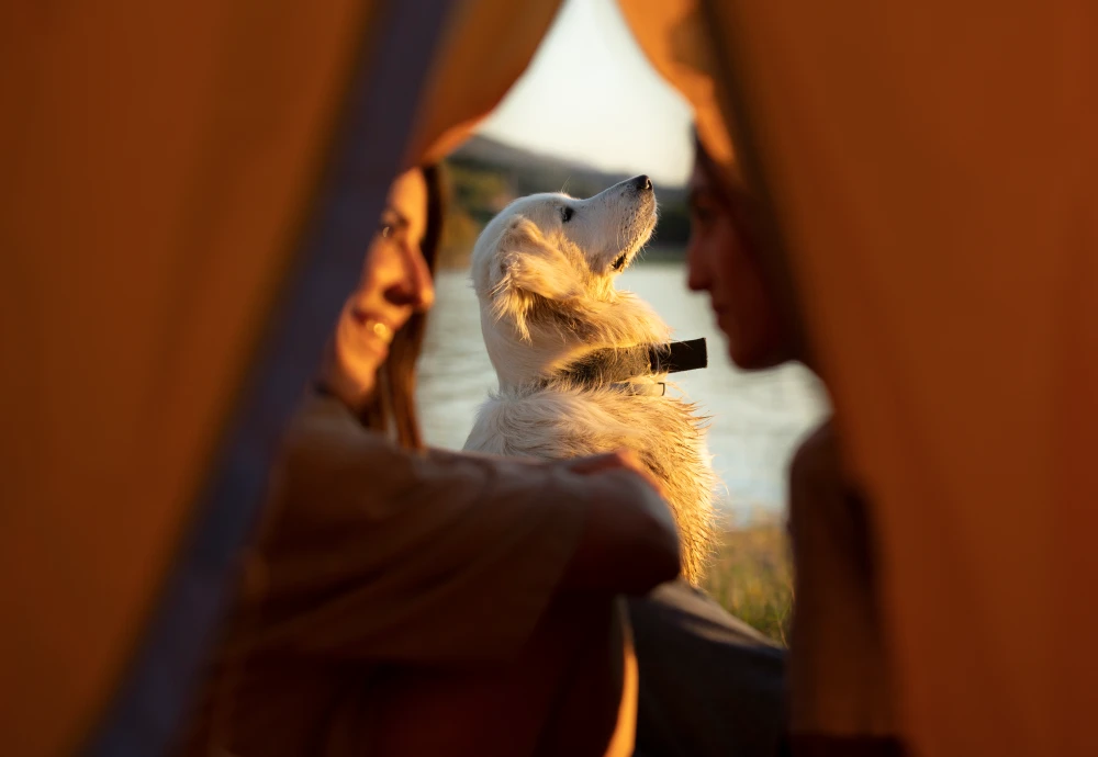 garden teepee for adults