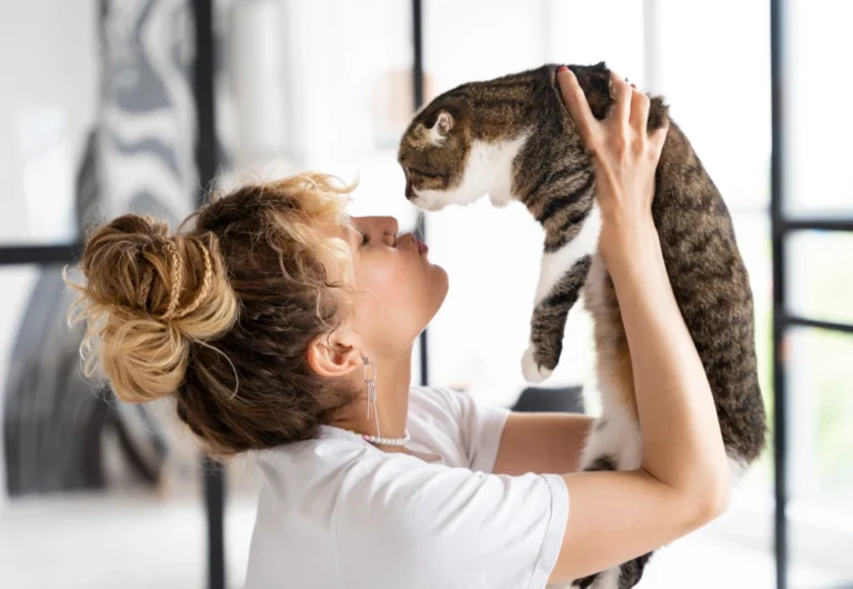 interactive pet camera